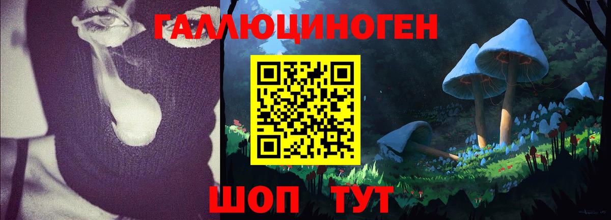 Благодарный  Псилоцибиновые грибы Psilocybine cubensis  Вход с VPN  Псилоцибиновые грибы ЛСД 